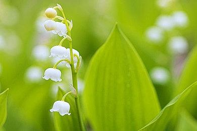 Switch《科学计算器》迎来对手 《战斗计算器》上线